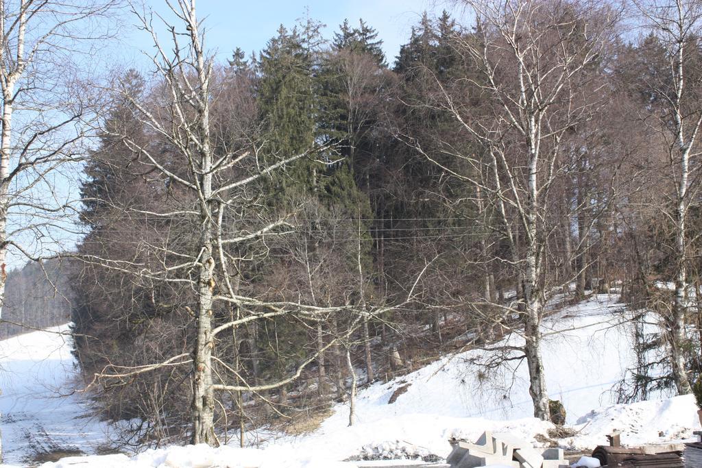Ferienwohnungen Neukirchen Neukirchen am Teisenberg Экстерьер фото