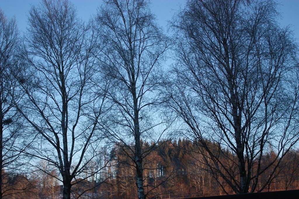 Ferienwohnungen Neukirchen Neukirchen am Teisenberg Экстерьер фото