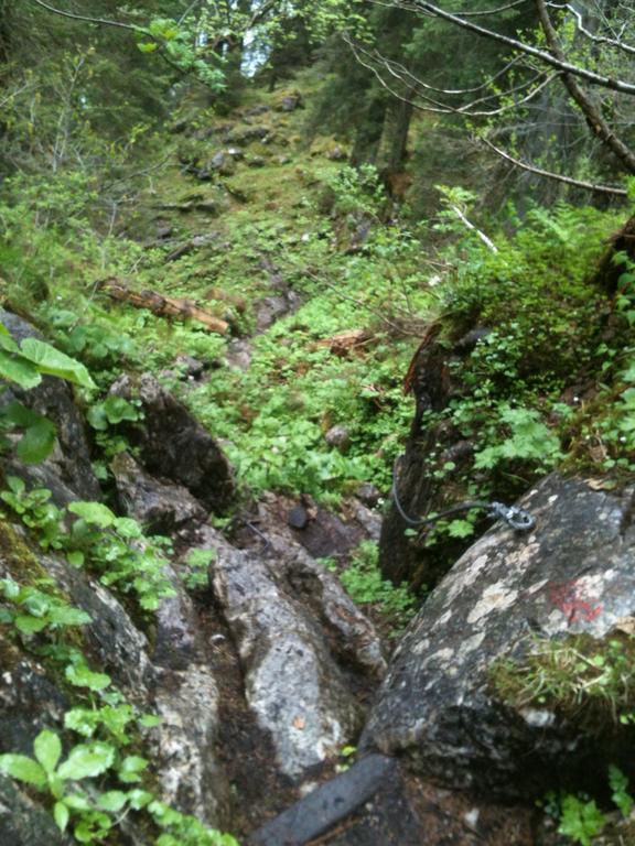 Ferienwohnungen Neukirchen Neukirchen am Teisenberg Экстерьер фото